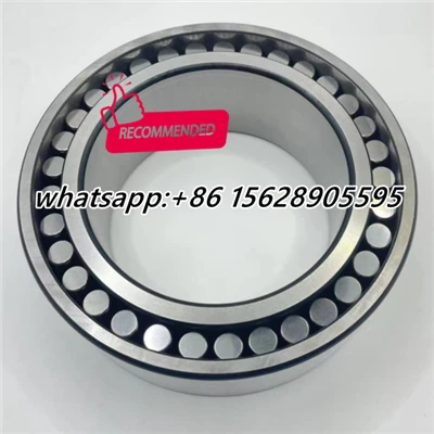 C6006V SKF